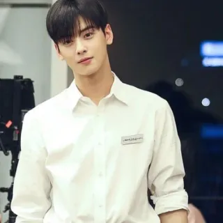 🤗 Cha Eun-woo K-pop, Attore, Cantante, Corea, K-drama telegram sticker