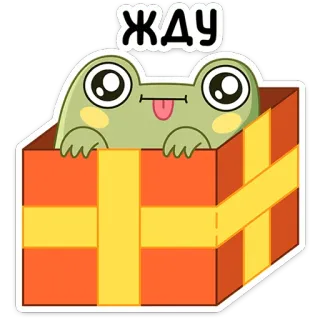 😛 жду frog, waiting, cute, animal, gift, present, kawaii, cartoon telegram sticker