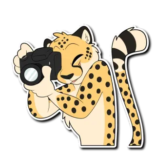 📸 치타, 만화, 동물, 카메라, 사진 telegram sticker