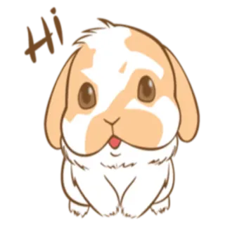 🙂 Hi kelinci, imut, hewan, kawaii, kelinci, hewan peliharaan whatsapp sticker