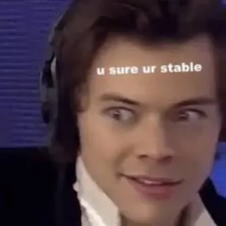 🤨 Harry Styles u sure ur stable meme, harry styles, funny, celebrity, pop culture telegram sticker
