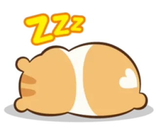 💤 ZZZ 睡觉, zzz, 可爱, 宠物, 爱心, 睡着的猫 telegram sticker