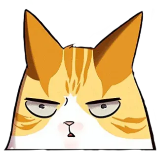 😐 kucing, marah, kartun, oranye, belang, ekspresi telegram sticker