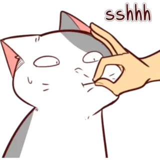 🤫 sshhh mèo, suỵt, im lặng, sự im lặng, động vật, hoạt hình telegram sticker