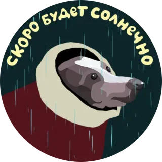 ☀ скоро будет солнечно texugo, chuva, sombrio, animal, inverno, fofo telegram sticker