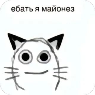 🫥 ебать я майонез cat, mayonnaise, funny, animal, meme whatsapp sticker