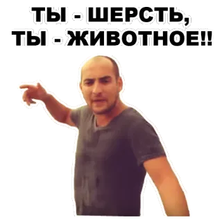 😠 ТЫ - ШЕРСТЬ, ТЫ - ЖИВОТНОЕ!! insult, anger, man, offensive whatsapp sticker
