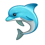 🐬