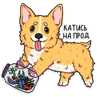 корги кодеры (@kotypic) whatsapp stickers