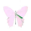 🦋