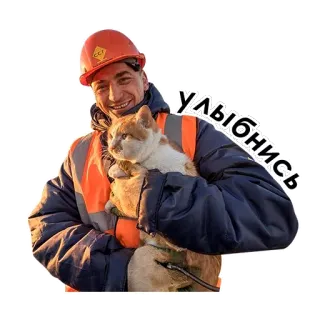 😺 Улыбнись cat, worker, smile, orange, construction telegram sticker