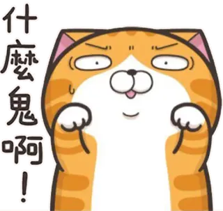 😆 什麼鬼啊！ Katze, Tier, lustig, Gesichtsausdruck, Aufkleber, Chinesisch, animiert telegram sticker