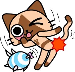 💥 고양이, 만화, 동물, 장난기 있는, 스티커, 웃긴 telegram sticker