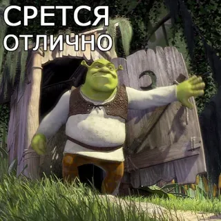 🤞 Shrek СРЕТСЯ
ОТЛИЧНО オーガ, トイレ, 緑, アニメ, 映画 telegram sticker