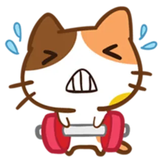 😖 猫, 重量挙げ, 運動, フィットネス, 漫画, かわいい, 汗, ワークアウト telegram sticker