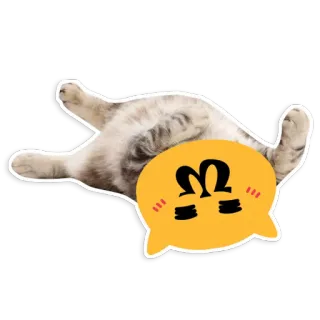 😊 Katze, Tier, Aufkleber, süß, lustig, Haustier telegram sticker
