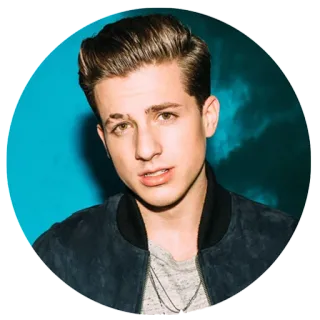 😕 Charlie Puth musician, singer, celebrity, portrait telegram sticker