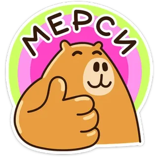 👍 МЕРСИ Capibara, Schattig, Dier, Duim omhoog, Sticker telegram sticker