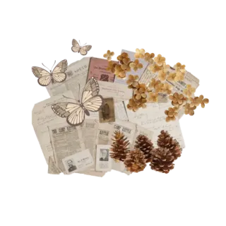 🌼 vintage, ephemera, butterflies, pinecones, floral, scrapbook telegram sticker