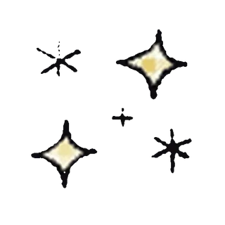 ✨