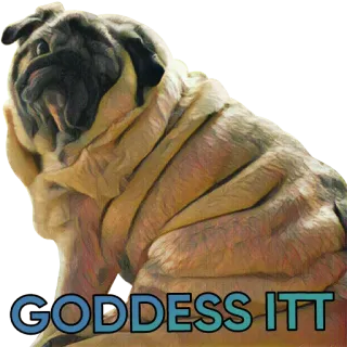 🙆 GODDESS ITT 개, 퍼그, 여신, 귀여운, 애완동물, 동물 telegram sticker