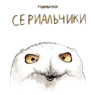 🐣 МИМИМИ
СЕРИАЛЬЧИКИ hibou, mignon, animal, oiseau telegram sticker