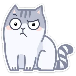 🤨 cat, animal, pet, cartoon, sticker telegram sticker