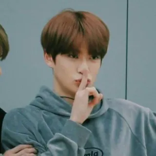 🦥 whatsapp sticker