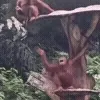 😋