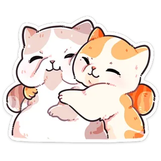 ❤️ kat, kitten, schattig, dier, huisdier, vriendschap, knuffel whatsapp sticker