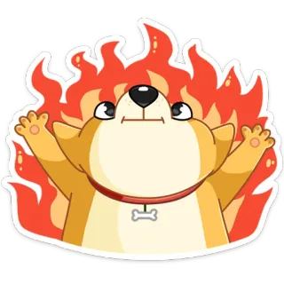 😡 chien, corgi, flammes, feu, dessin animé, animal, mignon, autocollant whatsapp sticker