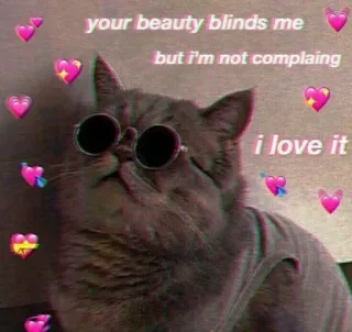 🍬 your beauty blinds me but i'm not complaining i love it cat, love, beauty, heart, sunglasses, meme, cute whatsapp sticker