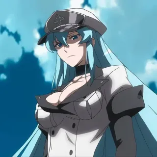 😕 Esdeath Akame ga Kill! Anime, Esdeath, Akame ga Kill, Kobieta, Postać telegram sticker