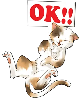 👍 OK!! แมว, ลูกแมว, สัตว์, โอเค, มีความสุข telegram sticker