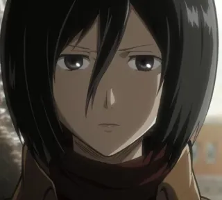 🌿 Mikasa Ackerman Attack on Titan anime, character, mikasa, attack on titan telegram sticker