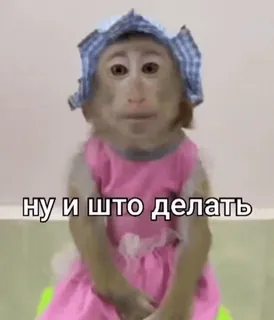 🚨НЕ ЖМИ 👉 @bibizyana_bratok telegram stickers