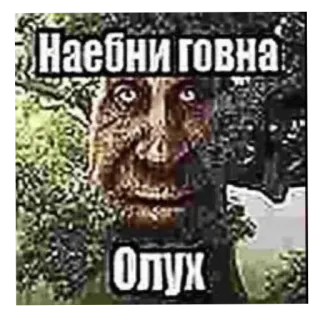 🖼 Наебни говна 
Олух beleidigend, russisch, beleidigung whatsapp sticker