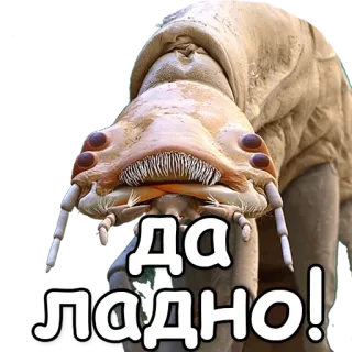 ❗ Да ладно! telegram sticker
