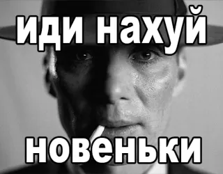 🚬 ИДИ НАХУЙ НОВЕНЬКИ offensive, swear words, russian, meme, text telegram sticker