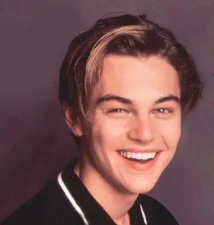 😀 Leonardo DiCaprio 莱昂纳多·迪卡普里奥, 演员, 名人, 肖像, 年轻, 英俊 telegram sticker