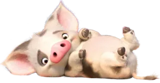 🐽 Pua Moana schwein, comic, niedlich, tier, disney whatsapp sticker