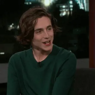 💎 Timothée Chalamet diễn viên, người nổi tiếng, đàn ông, chân dung, Timothée Chalamet telegram sticker