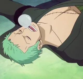 🌽 Zoro One Piece anime, manga, roronoa zoro, one piece, character, green hair, sleeping telegram sticker