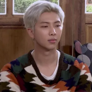 🐟 RM RM, K-pop, cantante, celebrità, ritratto, BTS telegram sticker
