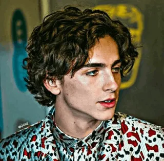 📯 Timothée Chalamet acteur, portrait, célébrité, Timothée Chalamet telegram sticker