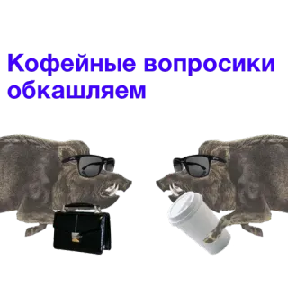 🍩 Кофейные вопросики обкашляем café, jabalíes, negocios, gafas de sol telegram sticker