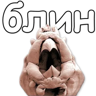 😕 блин russian, expression, slang, curse, blin telegram sticker