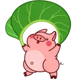 🍃