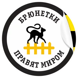 👩 БРЮНЕТКИ ПРАВЯТ МИРОМ Brünette, Katzen, Weltherrschaft, Katze, Brünette whatsapp sticker