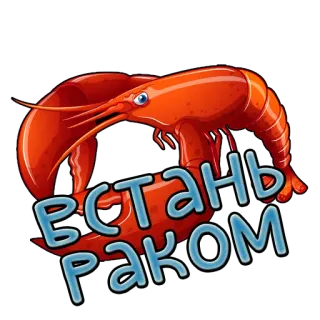 🦀 встань раком lobster, cartoon, sea, animal whatsapp sticker